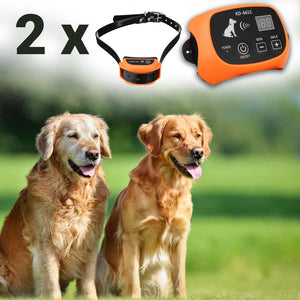 Petsafe wireless invisible fence for dogs